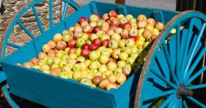 Abundant Robotics rakes in $10 million for apple harvesting robots