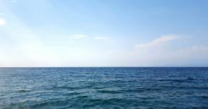 Garena rebrands to Sea and raises $550 million more to focus on Indonesian e-commerce