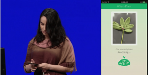 Microsoft's Custom Vision lets you build computer vision AI models in minutes