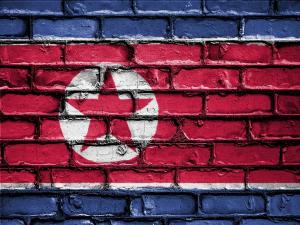 North Korea Has Cyber Capabilities, But What Are They?