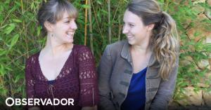 SeaBookings. Um negócio que chega da Holanda, com amor