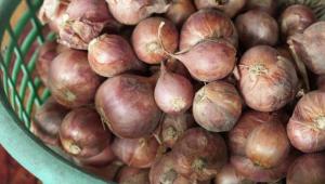 Indonesian agritech startup Brambang eases online transaction of shallots