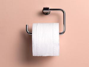 Making the Bathroom Great Again - DIY - Dalia Research