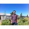 Mike Krieger