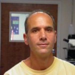 David Fries