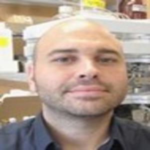 Joseph Mazzulli