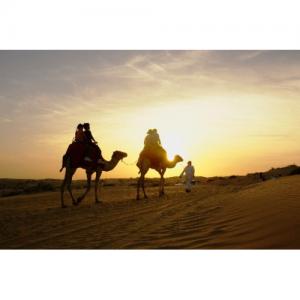 Abu Dhabi Overnight Desert Safari Adventure Tour Dubai