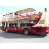 Big Bus Tour 24 Hours