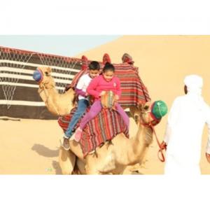 Desert Safari in Abu Dhabi