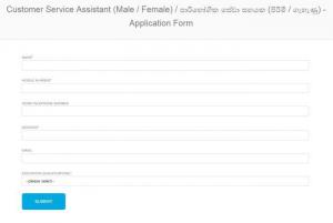 CV-less application form