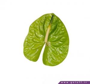 گل تک شاخه