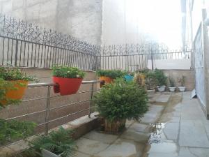 سوئیت مبله