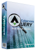 CybervoreQuery™