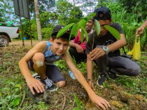 Bukit Piton reforestation