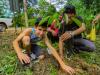 Bukit Piton reforestation