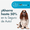 Seguro de Auto