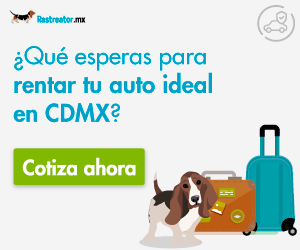 Renta de Autos online