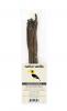 Sepik Export Gourmet Vanilla Beans