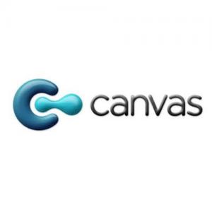 Canvas Surveys