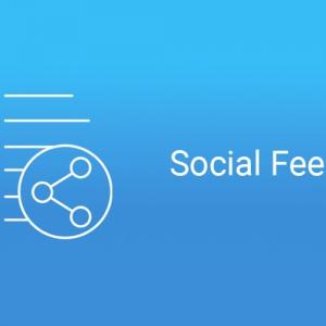 Social Feed