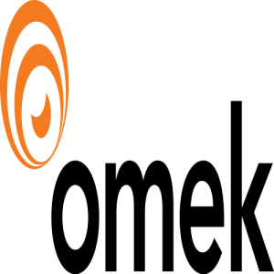 Omek Interactive