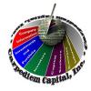 Carpe Diem Capital Management