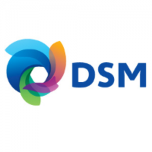 DSM