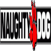 Naughty Dog