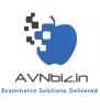 AVNbiz.in