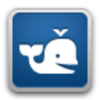 Beluga