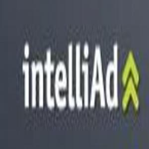 IntelliAd bid management & multichannel suite