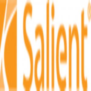 Salient Partners