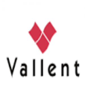 Vallent Corporation