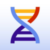Beam.city DNA