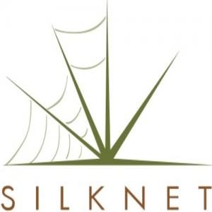 Silknet