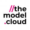 The Model Cloud
