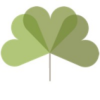 MyTree