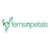 Ferns N Petals Malaysia