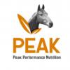 Peak Horse