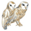 GhostBird Software
