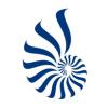 The Icon Art