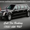 Limousine and Sedan