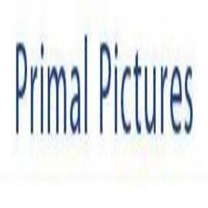 Primal Pictures