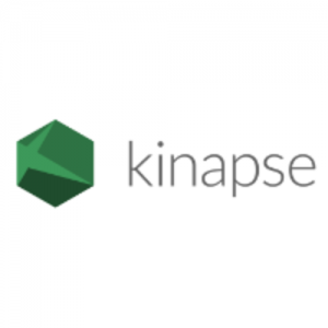 Kinapse
