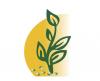 Biocarve