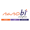 Nanobi analytics