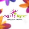 Orchid-Tree