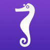 Seahorse