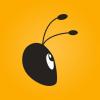 Beehive