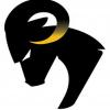 Aries Automotive